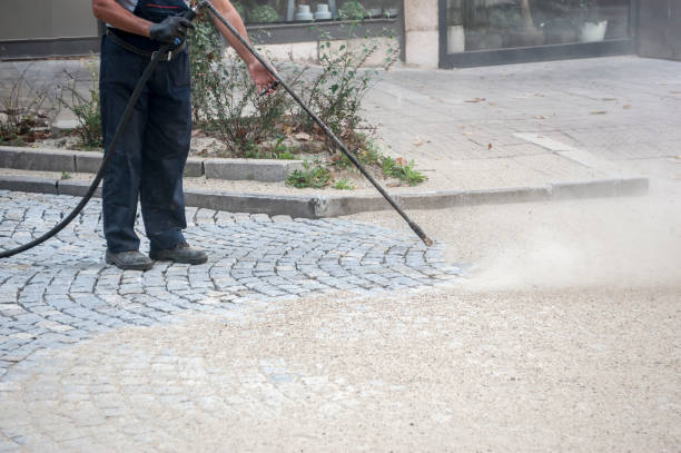 Best Gutter Cleaning  in Selma, TX