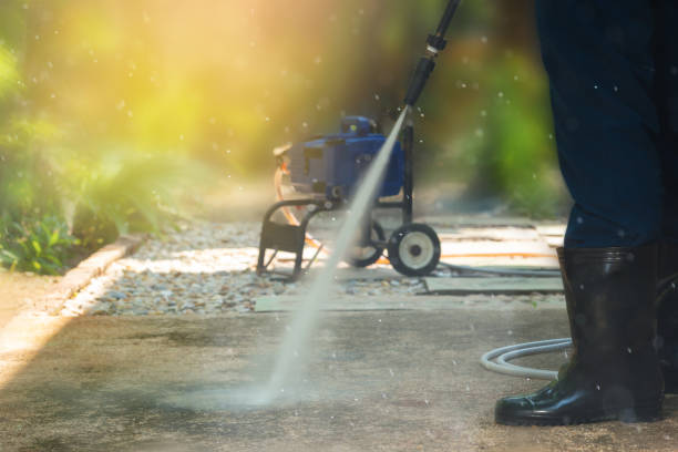 Animal Enclosure Cleaning in Selma, TX
